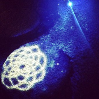 御神水映像投影3