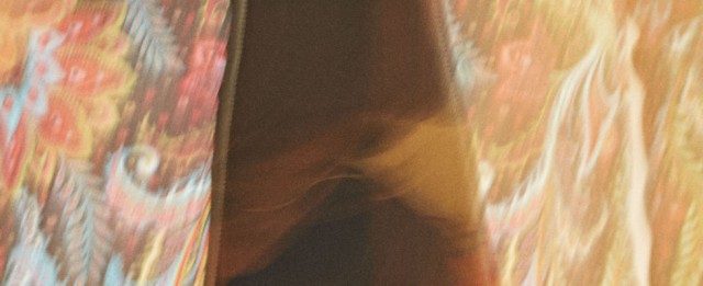 meagratia_top-980x400